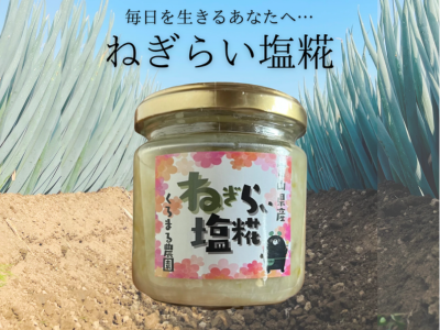 ネギ塩糀